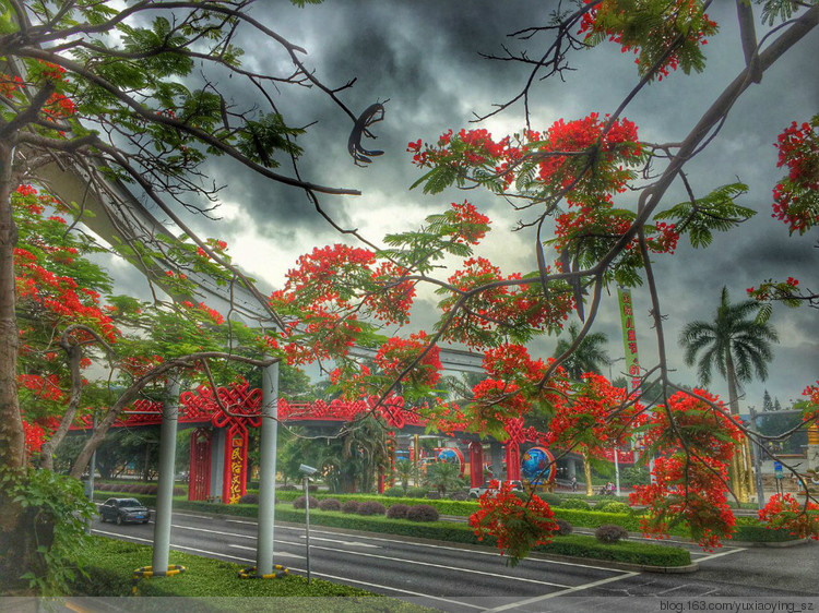 花开时节动鹏城 - 小鱼滋味 - 小鱼滋味 花开时节动鹏城 - 小鱼滋味 - 小鱼滋味
