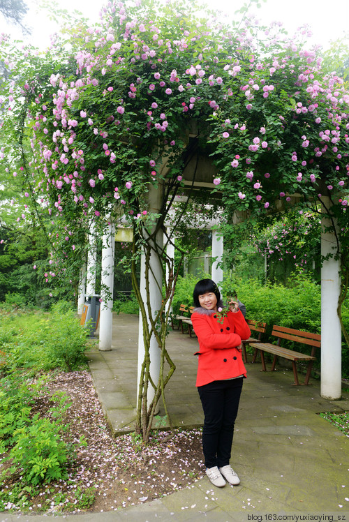 【小衣襟的第一次旅行】 重庆碧津公园  南山植物园  解放碑 - 小鱼滋味 - 小鱼滋味