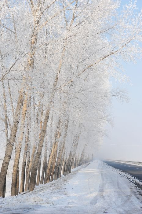 2011，兔年春节--之七 玉泉滑雪 - 小鱼滋味 - 小鱼滋味