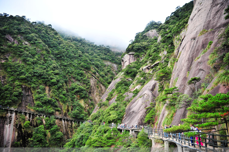 【忘记带宝宝的长假旅行】三清山景色，可与黄山媲美 - 小鱼滋味 - 小鱼滋味