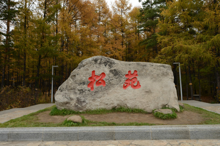 【金秋，横扫黑龙江边境】 漠河 - 塔河 - 呼玛 - 小鱼滋味 - 小鱼滋味