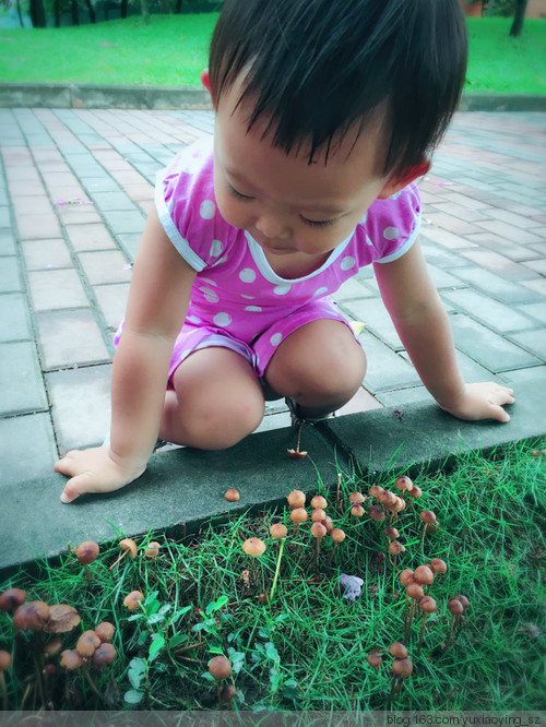 雨后,草地上的蘑菇和小女孩 - 小鱼滋味 - 小鱼滋味 雨后,草地上的蘑菇和小女孩 - 小鱼滋味 - 小鱼滋味