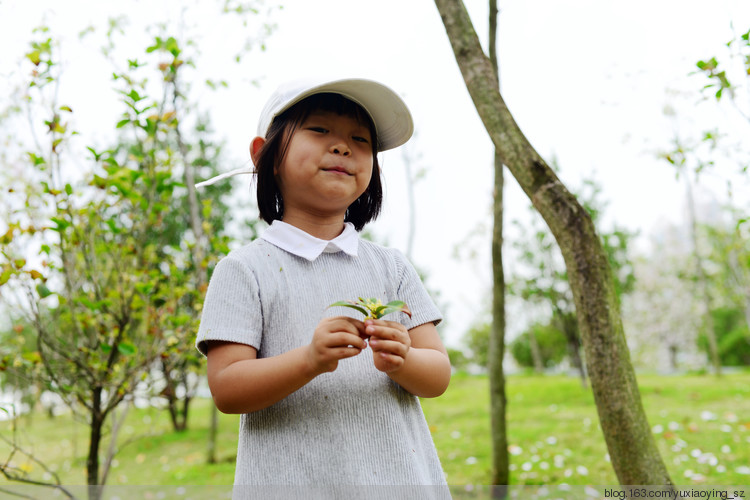 【深圳 · 中心公园】 春天里，百花香 - 小鱼滋味 - 小鱼滋味