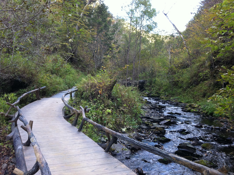 【2011，家乡的秋】凤凰山国家森林公园--回转的路 - 小鱼滋味 - 小鱼滋味